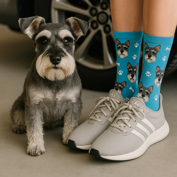 Personalized Custom Schnauzer Socks 360x