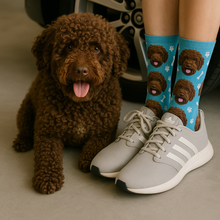 Load image into Gallery viewer, Personalized Custom Spanish Water Dog Socks-Accessories-Accessories,Dog Dad Gifts,Dog Mom Gifts,Socks,Spanish Water Dog,Upload Photo-35