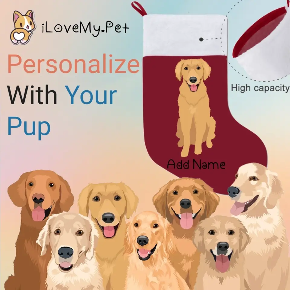 Golden Retriever Kapuzendecke – Kuscheldecke Mit Hoodie, Geschenk Für Hundeliebhaber, One Size