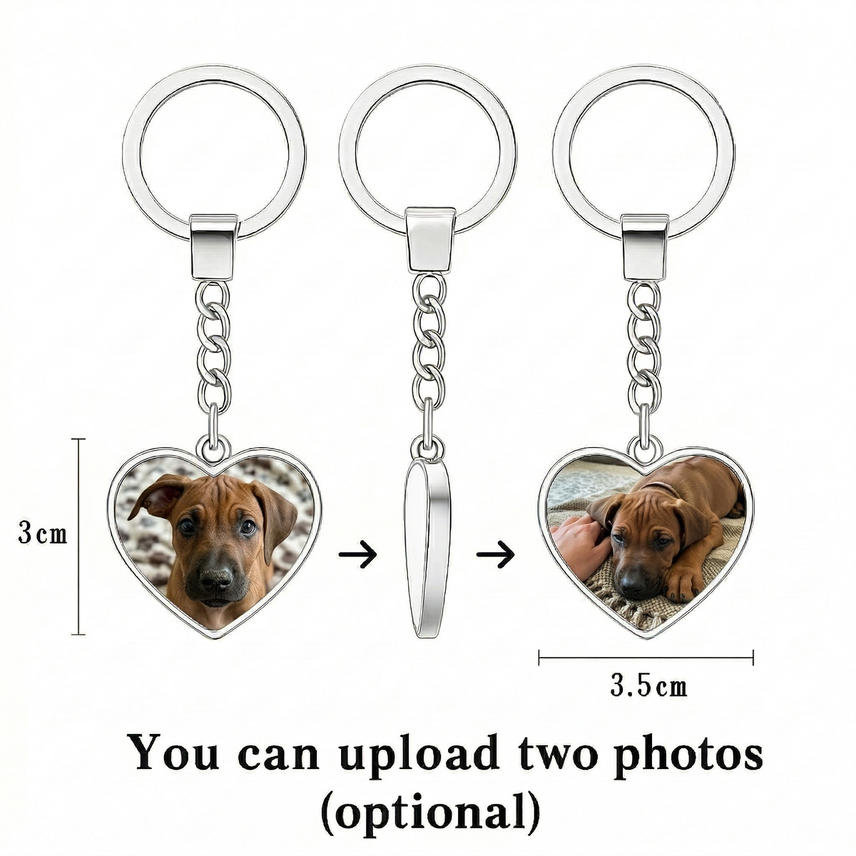 Ridgeback Key Chain
