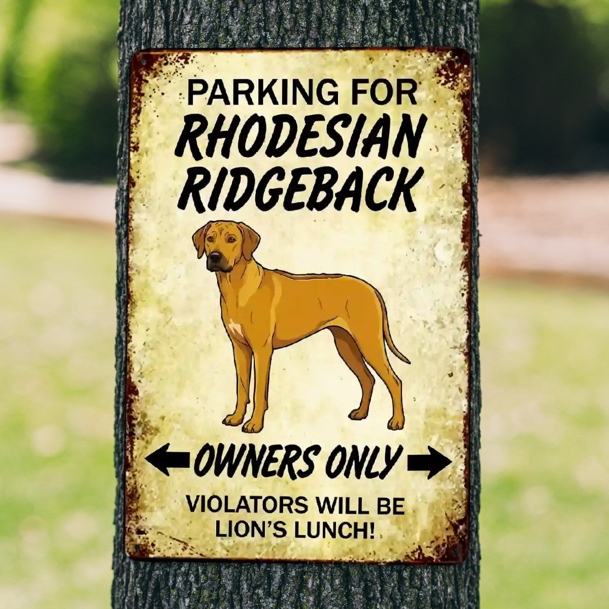 Personalized Rhodesian Ridgeback Sign - Funny Parking Sign - Match You