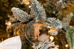 Personalized Vizsla Love Christmas Tree Ornaments-Christmas Ornament-Christmas, Personalized, Vizsla-Christmas Tree Ornaments-Transparent-3.5" or 8.9 cm-3