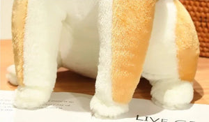 Pet Me Sitting Shiba Inu Stuffed Animal Plush Toys-Shiba Inu, Stuffed Animal-9