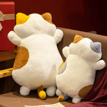 Load image into Gallery viewer, Pick Me Calico Cat Soft Plush Toy Pillows-10