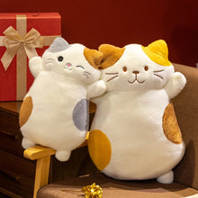 Load image into Gallery viewer, Pick Me Calico Cat Soft Plush Toy Pillows-3