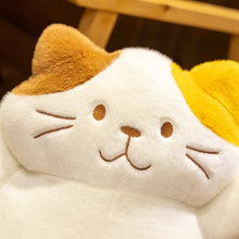 Load image into Gallery viewer, Pick Me Calico Cat Soft Plush Toy Pillows-5