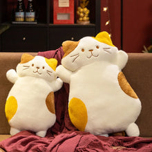 Load image into Gallery viewer, Pick Me Calico Cat Soft Plush Toy Pillows-9