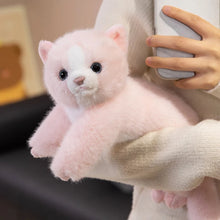 Load image into Gallery viewer, Pink Cat Plush Toy - Curious Kitty Pink Cat-2