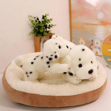 Load image into Gallery viewer, Playtime Dalmatian Stuffed Animal Plush Toys-5