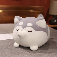 Load image into Gallery viewer, This image shows a close up image of  grey Plumpy Husky Stuffed animal plush toy pillow.