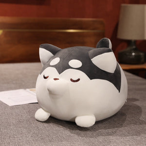 This image shows a close up image of a black adorable plumpy Husky Stuffed animal plush toy pillow lying on the floor.