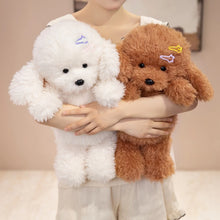 Load image into Gallery viewer, Poodle Plush Toy - Adorable Hair Clip and Buttoned Dress-9