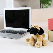 Load image into Gallery viewer, Pug Plush - Sit with Me-5