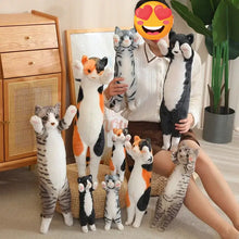Load image into Gallery viewer, Realistic American Shorthair Calico Cat Plushie - Standing with Pink Paw Pads-16