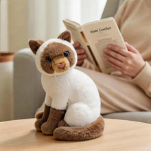 Load image into Gallery viewer, Realistic American Shorthair Cat Plush - Black Coat - Precious Lifelike Kitty-23