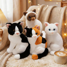 Load image into Gallery viewer, Realistic American Shorthair Cat Plush - Black Coat - Precious Lifelike Kitty-4
