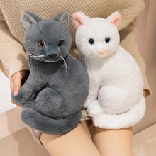 Load image into Gallery viewer, Realistic American Shorthair Cat Plush - Black Coat - Precious Lifelike Kitty-6
