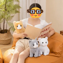 Load image into Gallery viewer, Realistic American Shorthair Cat Plush Toy - Orange and White - Sitting with Pink Nose-9