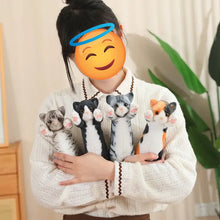 Load image into Gallery viewer, Realistic American Shorthair Cat Plushie - Gray and White Striped Tabby - Standing with Pink Paw Pads-13