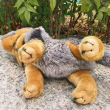 Load image into Gallery viewer, Realistic Australian Cattle Dog Blue Heeler Stuffed Animal Plush Toy-Stuffed Animals-Blue Heeler,Dog Memorial Gifts,Stuffed Animal-7