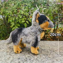 Load image into Gallery viewer, Realistic Australian Cattle Dog Blue Heeler Stuffed Animal Plush Toy-Stuffed Animals-Blue Heeler,Dog Memorial Gifts,Stuffed Animal-9