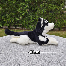 Load image into Gallery viewer, Realistic Belly Flop Black and White Husky Stuffed Animal Plush Toy-Stuffed Animals-Dog Memorial Gifts,Siberian Husky,Stuffed Animal-6