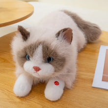 Load image into Gallery viewer, Realistic Belly Flop Ragdoll Cat Plush Toys-Khaki-55cm-14