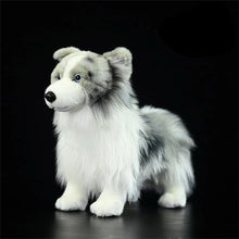 Load image into Gallery viewer, Realistic Bi Blue Shetland Sheepdog Stuffed Animal Plush Toy-Stuffed Animals-Dog Memorial Gifts,Shetland Sheepdog,Stuffed Animal-3