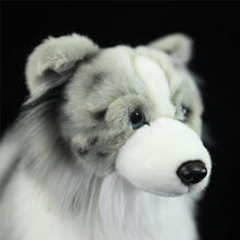 Load image into Gallery viewer, Realistic Bi Blue Shetland Sheepdog Stuffed Animal Plush Toy-4