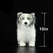 Load image into Gallery viewer, Realistic Bi Blue Shetland Sheepdog Stuffed Animal Plush Toy-merle-China Mainland-1