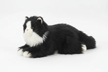 Load image into Gallery viewer, Realistic Black and White Cat Plush Toy - Lying Down with Pink Nose-6