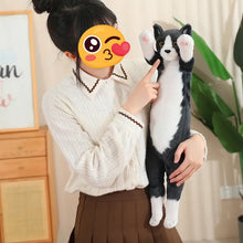 Load image into Gallery viewer, Realistic Black and White Cat Plushie - Standing with Pink Paw Pads-10