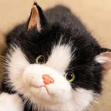 Load image into Gallery viewer, Realistic Black and White Cat Stuffed Animal Plush Toy - Belly Flop Pose-Cats-Cat Memorial Gifts,Stuffed Animal-4