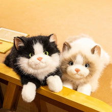 Load image into Gallery viewer, Realistic Black and White Cat Stuffed Animal Plush Toy - Belly Flop Pose-Cats-Cat Memorial Gifts,Stuffed Animal-5