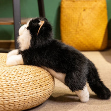 Load image into Gallery viewer, Realistic Black and White Cat Stuffed Animal Plush Toy - Belly Flop Pose-Cats-Cat Memorial Gifts,Stuffed Animal-7