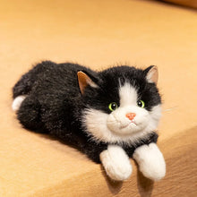 Load image into Gallery viewer, Realistic Black and White Cat Stuffed Animal Plush Toy - Belly Flop Pose-Cats-Cat Memorial Gifts,Stuffed Animal-Black White-1