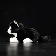 Load image into Gallery viewer, Realistic Black and White Cat Stuffed Animal Plush Toy - Soft Fur Lifelike Detailing-2