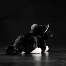 Load image into Gallery viewer, Realistic Black and White Cat Stuffed Animal Plush Toy - Soft Fur Lifelike Detailing-4
