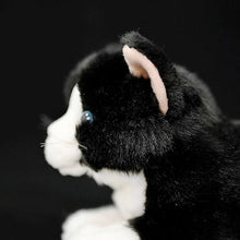 Load image into Gallery viewer, Realistic Black and White Cat Stuffed Animal Plush Toy - Soft Fur Lifelike Detailing-5