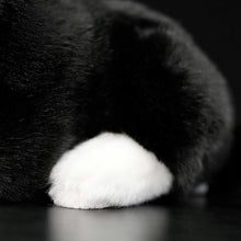 Load image into Gallery viewer, Realistic Black and White Cat Stuffed Animal Plush Toy - Soft Fur Lifelike Detailing-Black and White Cat,Cat Memorial Gifts,Cats,Stuffed Animal-4