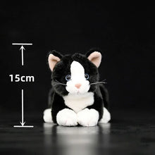 Load image into Gallery viewer, Realistic Black and White Cat Stuffed Animal Plush Toy - Soft Fur Lifelike Detailing-with opp bag-China Mainland-8