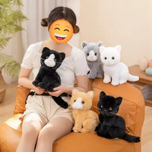 Load image into Gallery viewer, Realistic Black and White Cat Soft Toy - Sitting with Pink Nose-3