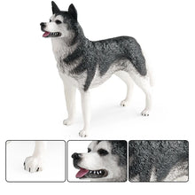 Load image into Gallery viewer, Realistic Black &amp; White Husky Figurine – Alert Standing Pose-2