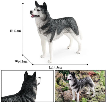 Realistic Black White Husky Figurine Alert Standing Pose Husky 360x