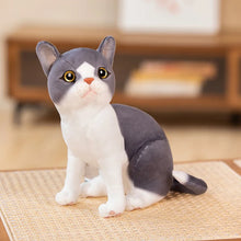 Load image into Gallery viewer, Realistic Blue and White Cat Stuffed Animal - Precious Wide-Eyed Sitting Kitty-13