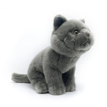 Load image into Gallery viewer, Realistic Blue British Shorthair Cat Stuffed Animal Plush Toy - Soft Fur Lifelike Detailing-2