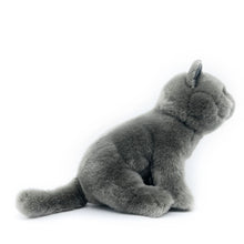 Load image into Gallery viewer, Realistic Blue British Shorthair Cat Stuffed Animal Plush Toy - Soft Fur Lifelike Detailing-3