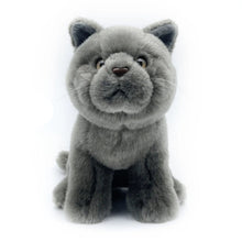 Load image into Gallery viewer, Realistic Blue British Shorthair Cat Stuffed Animal Plush Toy - Soft Fur Lifelike Detailing-with opp bag-CHINA-6