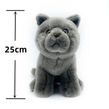 Load image into Gallery viewer, Realistic Blue British Shorthair Cat Stuffed Animal Plush Toy - Soft Fur Lifelike Detailing-Stuffed Animals-British Shorthair Cat,Cat Memorial Gifts,Cats,Stuffed Animal-8