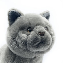Load image into Gallery viewer, Realistic Blue British Shorthair Cat Stuffed Animal Plush Toy - Soft Fur Lifelike Detailing-1